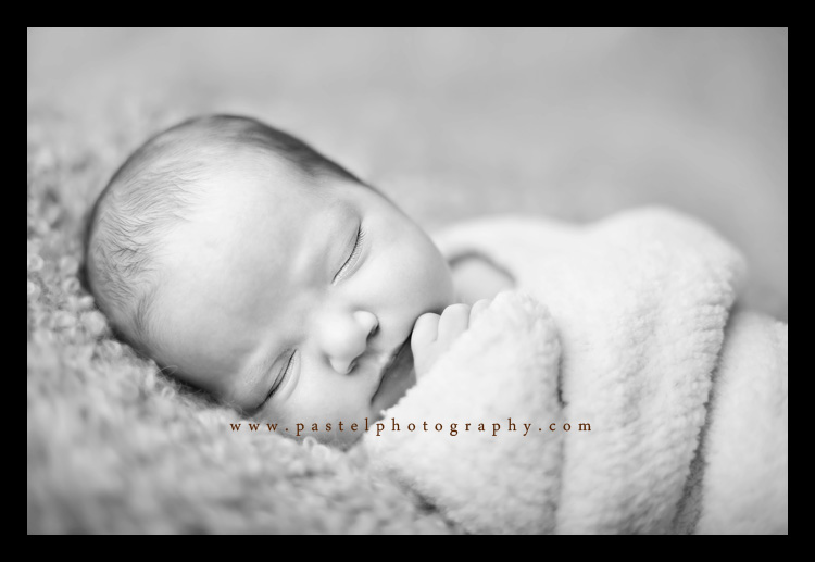 Los Angeles Baby Photographer